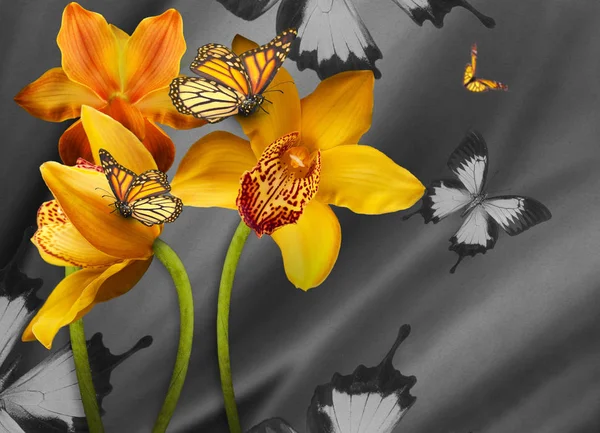 Floraler Hintergrund der Orchideen — Stockfoto
