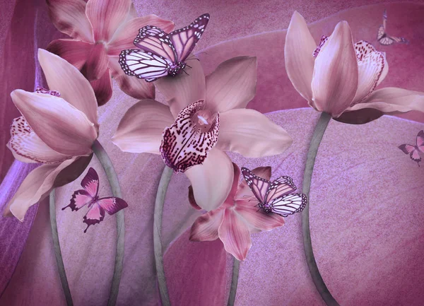 花卉背景的兰花 — 图库照片