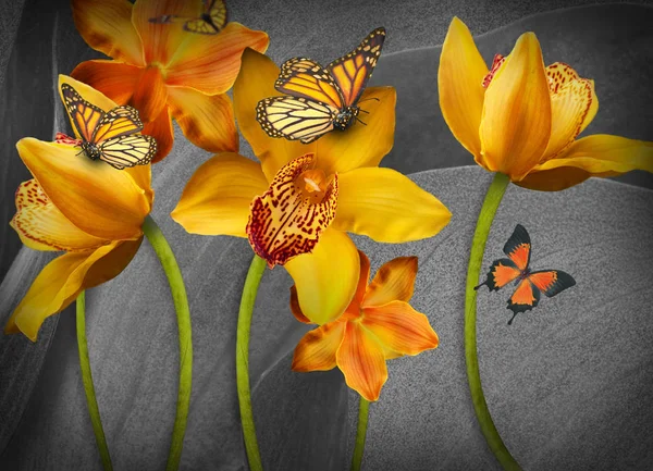Floraler Hintergrund der Orchideen — Stockfoto