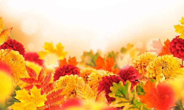 Jesienne kwiaty i liście — Zdjęcie stockowe