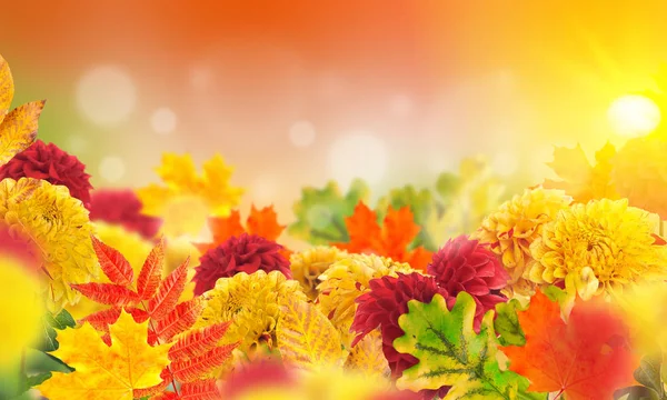 Card with autumn flowers and leaves — Stock Photo, Image