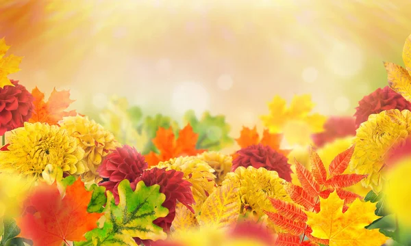 Autumn flowers and leaves — Stock Photo, Image
