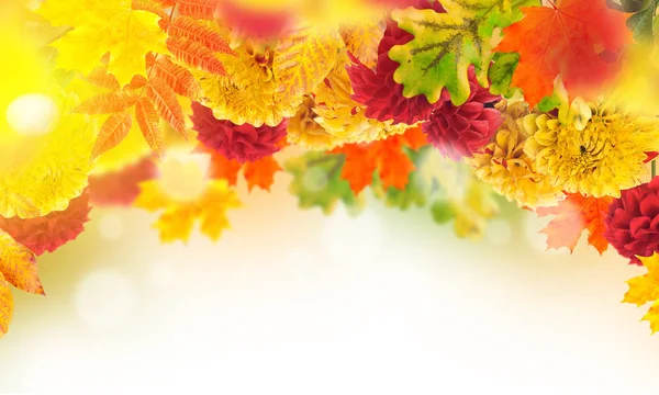 Frame with autumn flowers and leaves — Stock Photo, Image