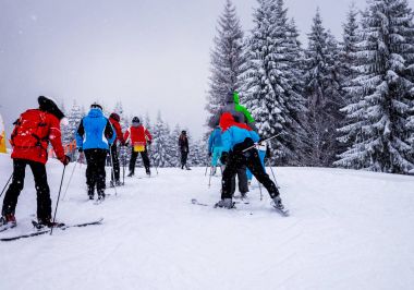 Noel kış manzara, Ladin ve çam ağaçları karla kaplı