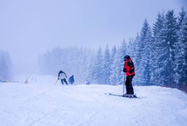 Noel kış manzara, Ladin ve çam ağaçları karla kaplı