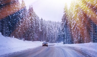 Noel kış manzara, Ladin ve çam ağaçları karla kaplı