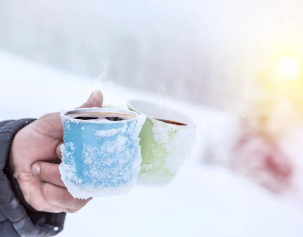 Paysage d'hiver de Noël, épinettes et pins couverts de neige — Photo