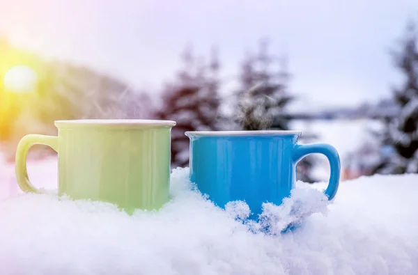 Paysage d'hiver de Noël, épinettes et pins couverts de neige — Photo