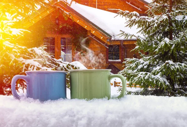 Paysage d'hiver de Noël, épinettes et pins couverts de neige — Photo