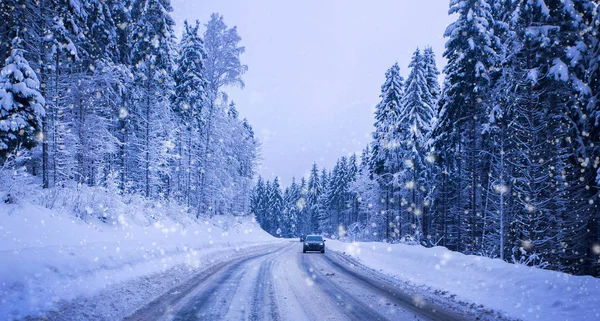 Christmas winter landscape, spruce and pine trees covered in snow — Stock Photo, Image