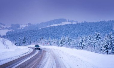 Noel kış manzara, Ladin ve çam ağaçları karla kaplı