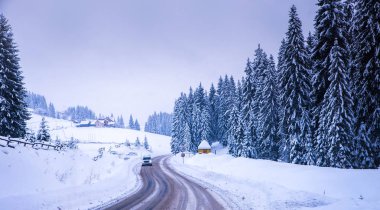 Noel kış manzara, Ladin ve çam ağaçları karla kaplı