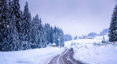 Noel kış manzara, Ladin ve çam ağaçları karla kaplı