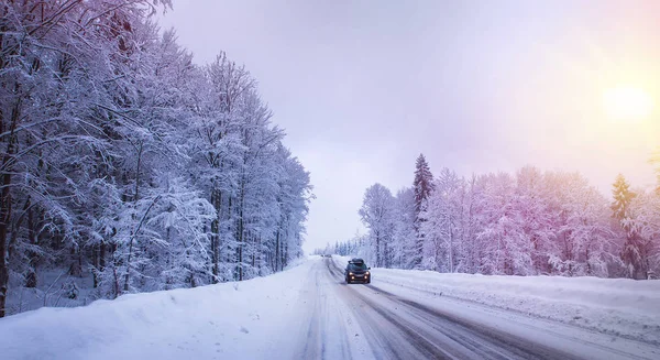 Zima Krajobraz, świerk i sosna choinki pokryte śniegiem — Zdjęcie stockowe