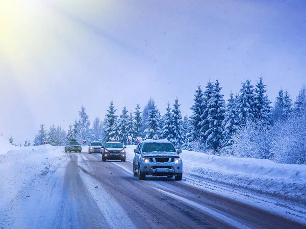 Vinter landskap, Gran och tall julgranar täckt av snö — Stockfoto