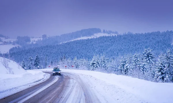 Noel kış manzara, Ladin ve çam ağaçları karla kaplı
