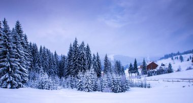 Noel Kış Manzarası