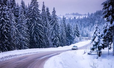 Noel Kış Manzarası