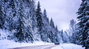 Noel Kış Manzarası