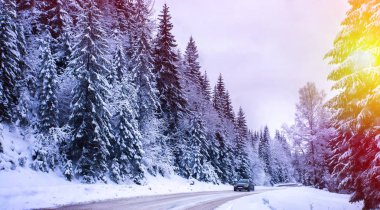 Noel Kış Manzarası