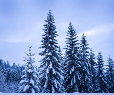 Noel Kış Manzarası