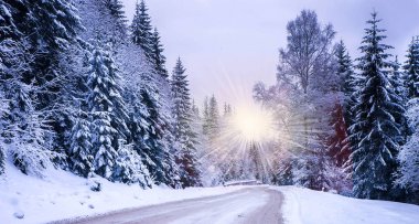 Noel Kış Manzarası