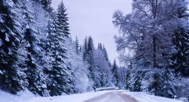 Noel Kış Manzarası