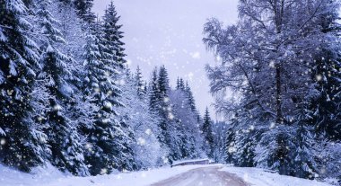 Noel Kış Manzarası