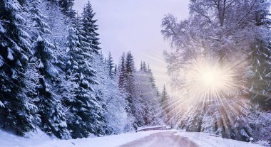 Noel Kış Manzarası