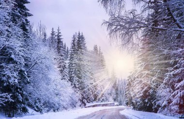 Noel Kış Manzarası