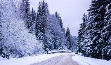 Noel Kış Manzarası