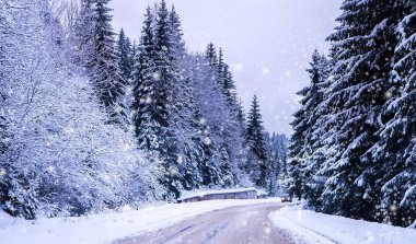 Noel Kış Manzarası