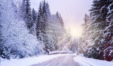 Noel Kış Manzarası