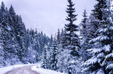 Noel Kış Manzarası