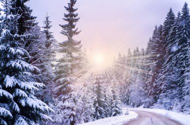 Noel Kış Manzarası