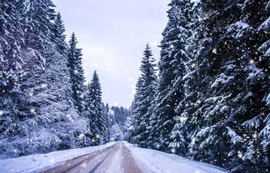 Noel Kış Manzarası