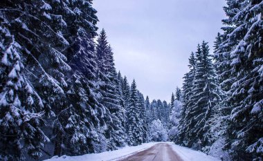 Noel Kış Manzarası