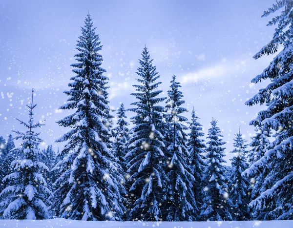 Paisaje de invierno de Navidad —  Fotos de Stock