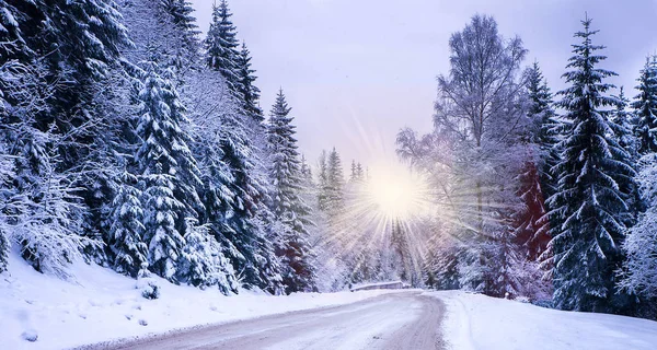 Noel Kış Manzarası