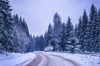 Noel kış manzara, Ladin ve çam ağaçları dağ yolda kar ile kaplı