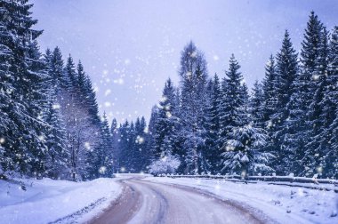 Noel kış manzara, Ladin ve çam ağaçları dağ yolda kar ile kaplı