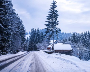 Noel kış manzara, Ladin ve çam ağaçları dağ yolda kar ile kaplı