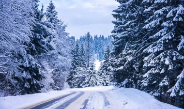 Noel kış manzara, Ladin ve çam ağaçları dağ yolda kar ile kaplı