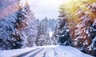 Noel kış manzara, Ladin ve çam ağaçları dağ yolda kar ile kaplı