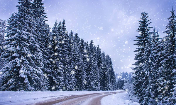 Paisaje Invierno Navidad Abetos Pinos Cubiertos Nieve Camino Montaña —  Fotos de Stock