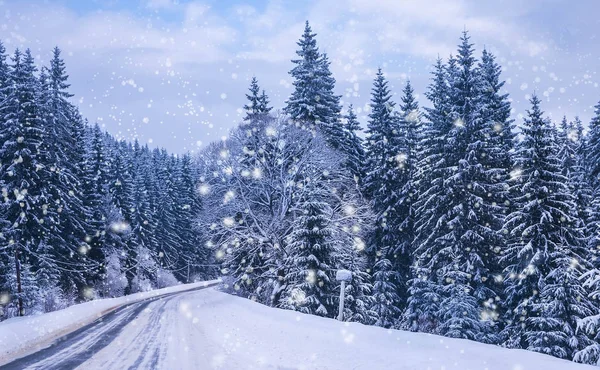 Paesaggio Invernale Natalizio Abeti Rossi Pini Ricoperti Neve Strada Montagna — Foto Stock