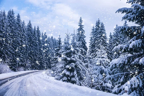 Weihnachten Winterlandschaft Fichten Und Kiefern Mit Schnee Bedeckt Auf Bergstraße — Stockfoto