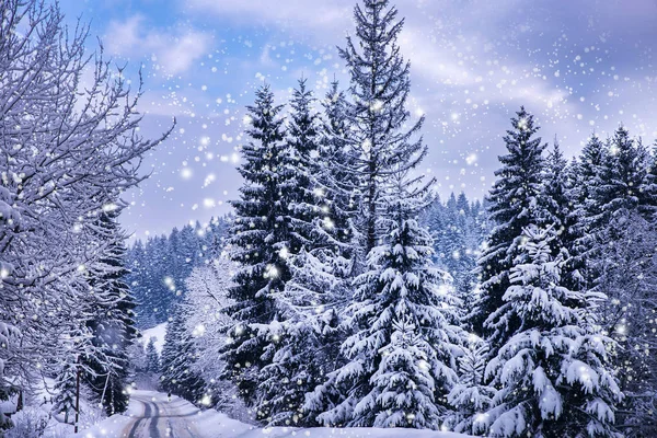 クリスマス冬の風景 トウヒや松の木が山の道で雪に覆われました — ストック写真