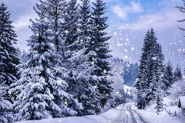 Paisaje Invierno Navidad Abetos Pinos Cubiertos Nieve Camino Montaña —  Fotos de Stock