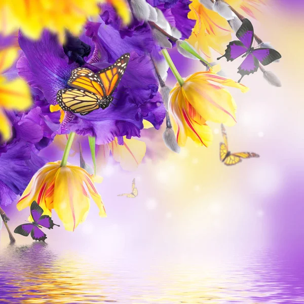 Violett Iris Med Gula Tulpaner Och Vide Med Fjärilar Suddig — Stockfoto